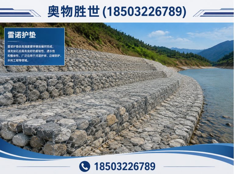 沈阳雷诺护垫展示图